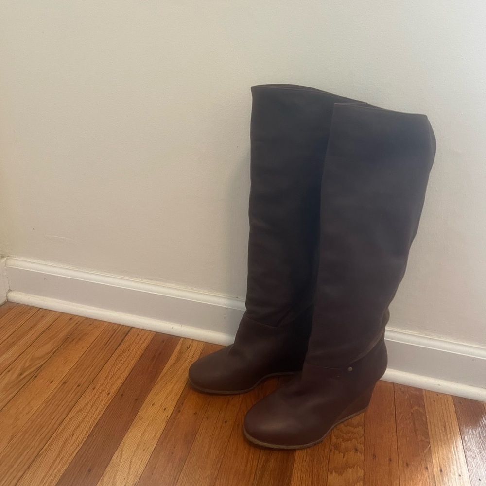 Brown Over the Knee Boots (Ugg)